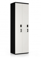 Сушильный шкаф DION ECOsport