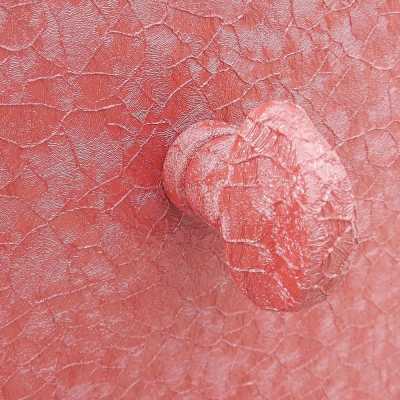 Сейф для хранения оружия Metalk Scrigno 1736540 BTL SL Bordo