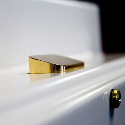 Сейф с защитой от взлома Burg–Wachter E 556 E lak